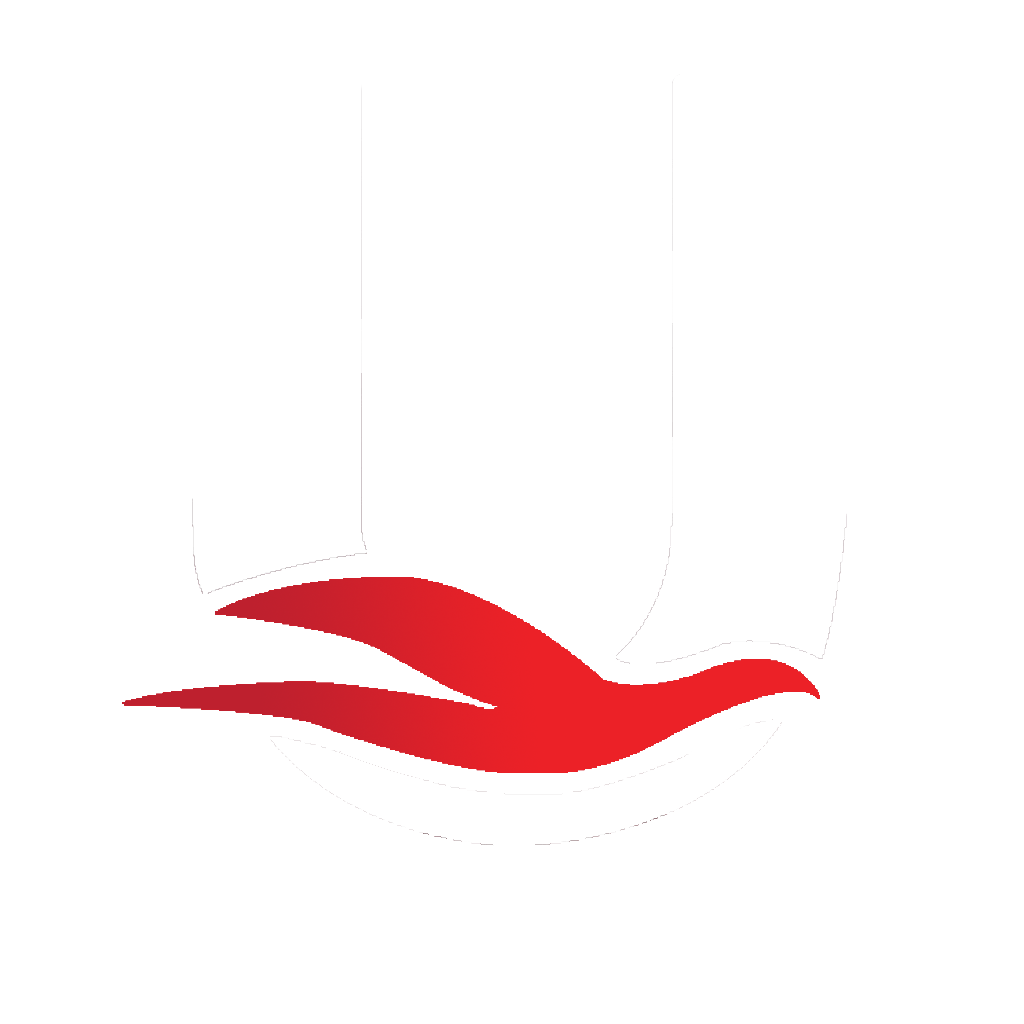 Srishti Logo